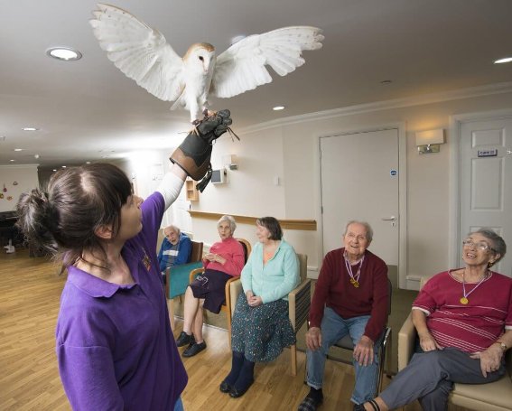 Catering Assistant Bank - cb-potteries-creatures-46_1 image