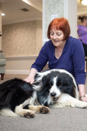 Blossomfield Grange - Blossomfield animal visit 