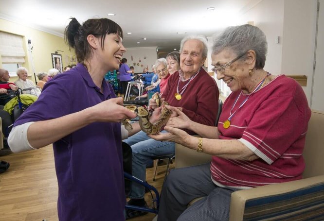 Catering Assistant Bank - cb-potteries-creatures-15_1 image