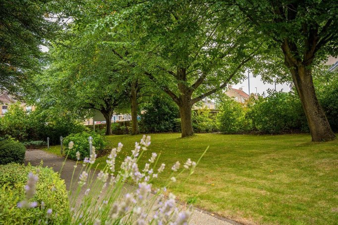 Bank Kitchen Assistant - Rush Hill Mews garden 2