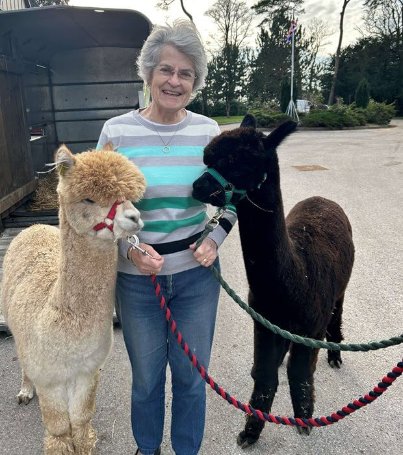 Team Leader - sway place alpaca visit 