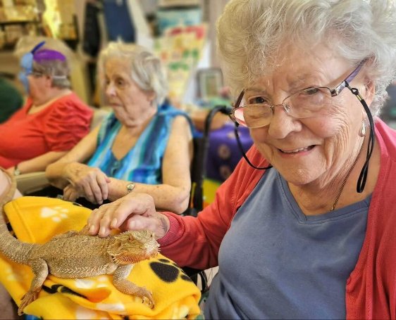 Care Assistant - Mills Meadow animal visit lizard