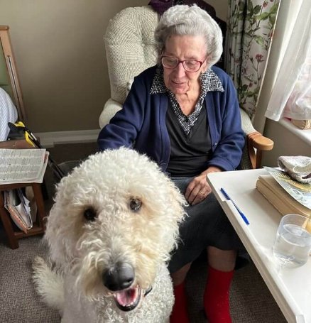 Nurse Manager - Harrier Lodge dog visit 