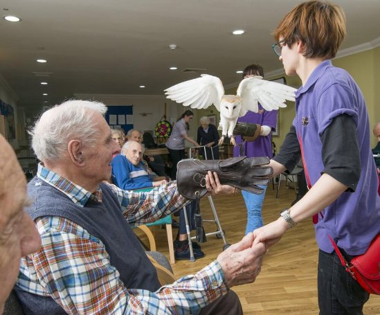 Catering Assistant Bank - cb-potteries-creatures-47_1 image