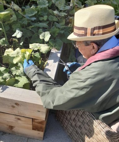 Laundry Assistant - gardening-at-invicta-court image