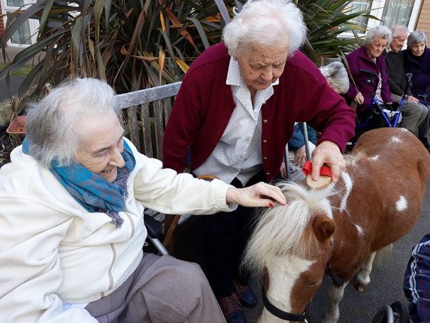 Care Assistant Bank - home-life-6 image