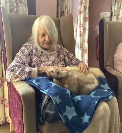 Care Assistant - Mill View animal visit