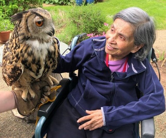 Maids Moreton Hall - Maids Moreton Owls