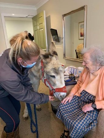 Care Assistant days - Parsons Grange donkey visit 