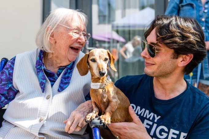 Scarlet House - Scarlet House 100th birthday dachshunds