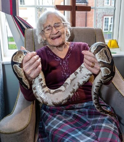 Care Assistant - Kentford Manor exotic animals 