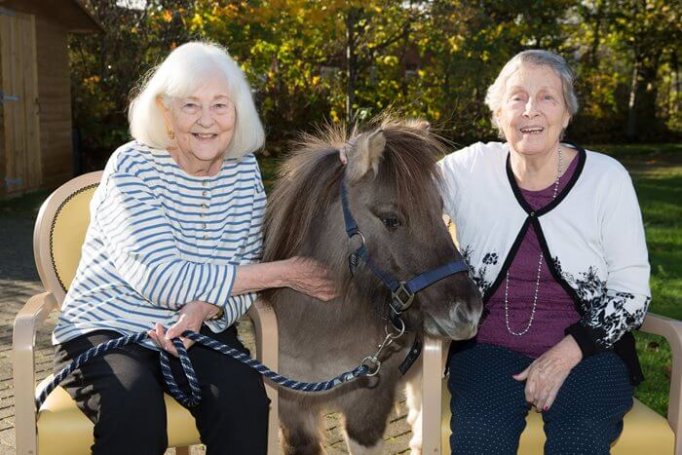 Team Leader Care - Kingsleigh animal visit 