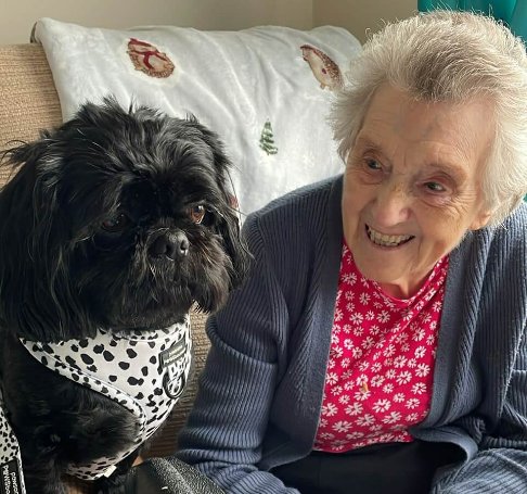 Cheviot Court - Cheviot Court dog visit
