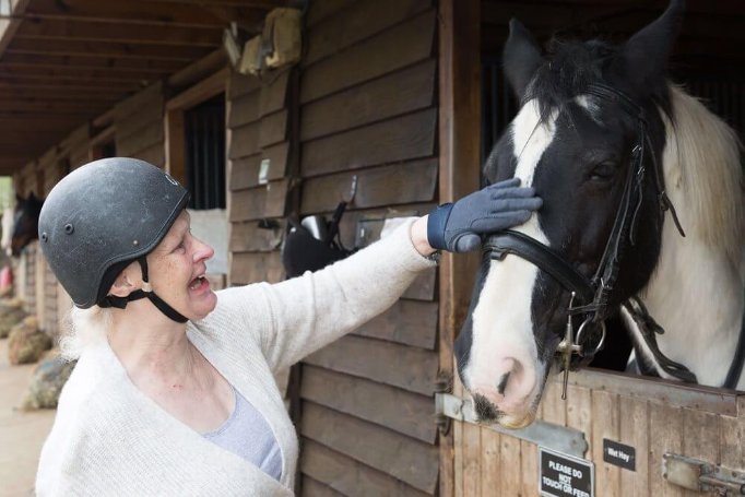 Domestic Bank - ivy grove horse riding wish