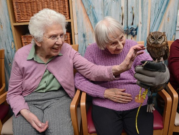 Care Assistant Bank - owls-lauder-lodge15-1 image