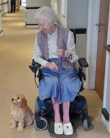 Care Assistant - Seccombe Court dog 