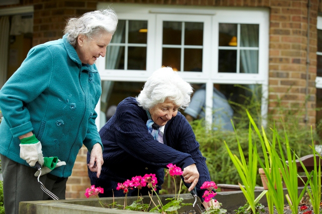 Bank Care Assistant - 8 image