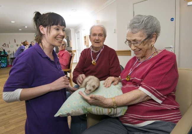 Catering Assistant Bank - cb-potteries-creatures-23_1 image