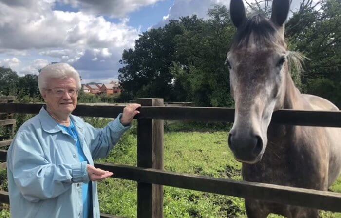 Blossomfield Grange - Blossomfield Grange horse wish